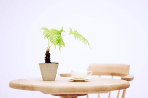 お部屋のイメージが変わるカーテン