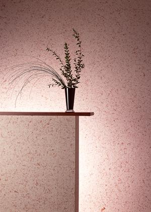 「安全でおしゃれな玄関へ！ドア交換のポイントとおすすめプランを徹底解説」