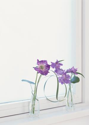 福岡市博多区に位置するタカラスタンダード福岡ショールームの詳細紹介と魅力