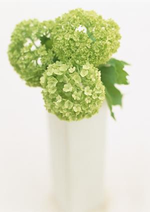 和泉市で叶える理想のキッチンリフォーム！家族が集まる快適空間の作り方ガイド