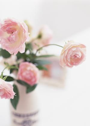 無垢材で作る理想のオーダーテーブル：あなたのライフスタイルに合わせたカスタマイズガイド