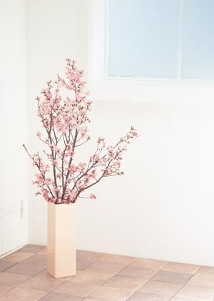 ホームシアターの世界は奥が深いです