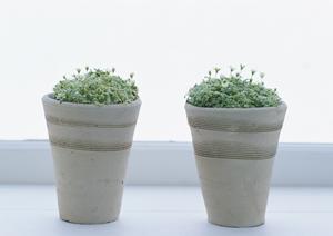 北海道札幌ショールーム|タカラスタンダードの魅力と最新情報